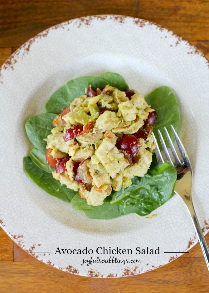 Healthy Avocado Chicken Salad - JOYFUL scribblings
